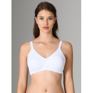 NBB 351 PENYE TOPARLAYICI SÜTYEN