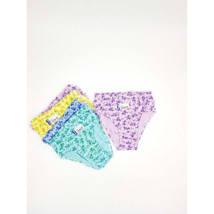 SEHER 0052 RENKLİ KIZ ÇOCUK SLİP KÜLOT (12 Lİ PAKET)